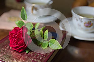 Classic still life of cups with English style and a flower on an antique book