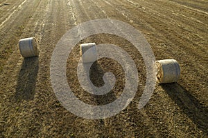 Classic straw balers in the summer season