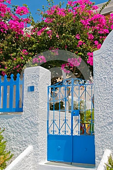Classic street with colorful flowers in Santorini