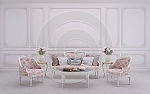 Classic style living room interior.Sofa,armchair,white wall with moulding.