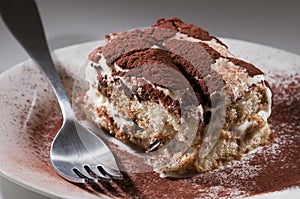 Classic, traditional tiramisu fresh cake