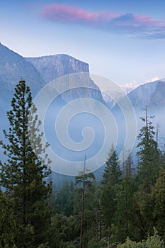 Classic Tunnel View of scenic Yosemite Valley with famous El Capitan and Half Dome rock climbing summits in beautiful