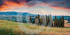 Classic Tuscan view with cypress trees on the field of wheat. Colorful summer sunrise in Italian countryside. Traveling concept