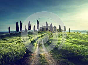 Classic Tuscan views in spring sunset time, Pienza