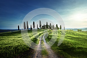 Classic Tuscan views in spring sunset time, Pienza, Italy