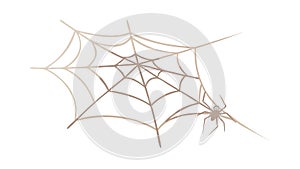 Classic Spider Web Vector Graphic, Intricate Nature Design Element, vector design Generative AI