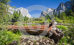 Yosemite National Park in summer, California, USA photo