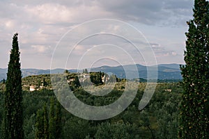 Classic views of Tuscany in Italy. Green olive groves to the horizon, cypress trees, and antique villas on the hills in