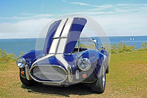 Classic vintage ford ac cobra shelby sports