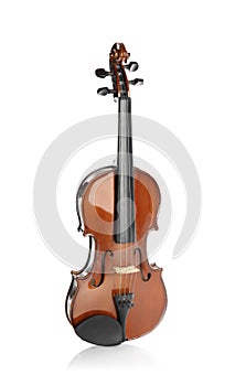Classic violin isolated. Musical instrument