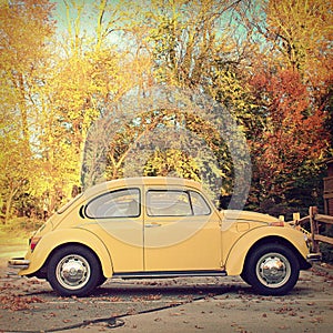 Classic VW Beetle Car with pretty autumn foliage in the background.