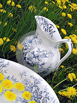 Classic wash basin and jug in meadow