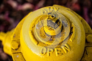 Classic weathered yellow fire hydrant