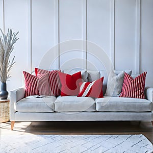 Classic White Sofa and Red Pillow Interior Design