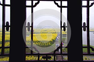Classic window with rape field view