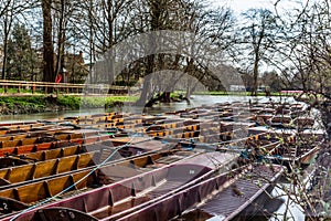 Classic wooden boats docked on the river in Oxford - 6
