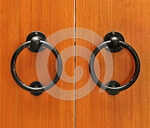 Classic wooden door with handle