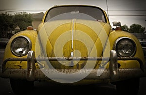 Classic Yellow Bug