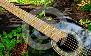 classical black guitar on the grass diagonally photo