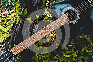 classical black guitar on green grass photo
