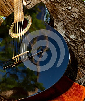 classical black guitar seen from below in nature photo