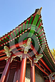 Classical chinese roof