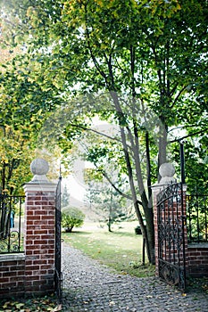 Classical design black wrought iron gate in a beautiful green garden