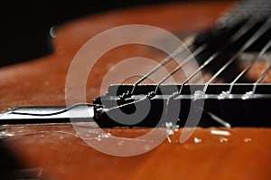 Classical guitar. Issuing a stringed instrument sounds. Fretboard, strings