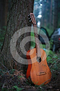 Classical guitar in park