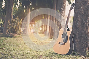 Classical guitar propped against a tree trunk