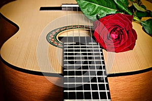 Classical guitar and rose.