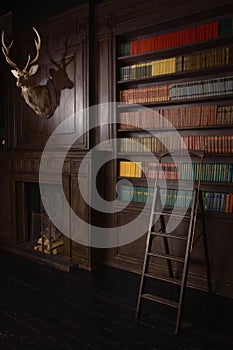 Classical library room in the victorian style