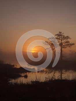 Classical marsh landscape, early morning