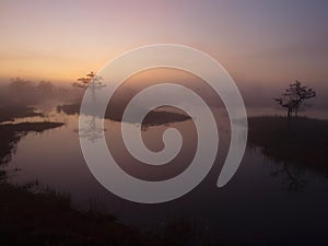 Classical marsh landscape, early morning