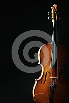 Classical music instruments violin photo