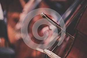 Classical music orchestra - double basses - close-up - suits - closeup on hands