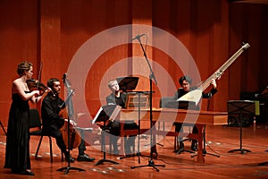 Classical music. Violinists in concert. Stringed, violinist.Closeup of musician playing the violin during a symphony