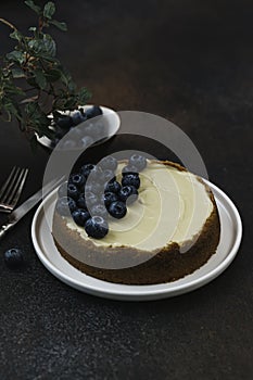 Classical New York cheesecake with blueberries. Homemade baking
