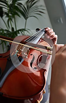 Classical player hands. Details of violin playing