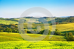 Classical rural landscape in Tuscany