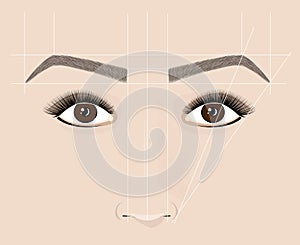 Classical shape of eyebrows. Microblaining and permanent make-up. The scheme of the correct construction. photo