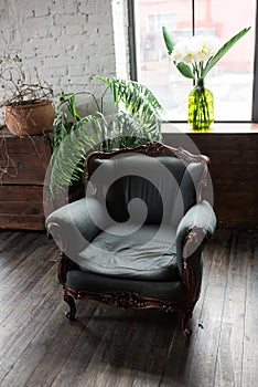 Classical style green Armchair sofa couch in vintage room. Luxurious armchair vintage.