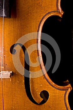 Classical vionlin detail