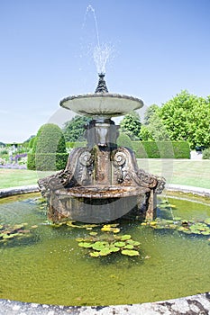 Classical water fountain. Ornamental stone feature in English formal garden.