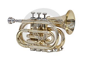 Classical wind musical instrument cornet isolated on white background