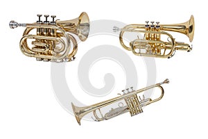 Classical wind musical instrument cornet isolated on white background