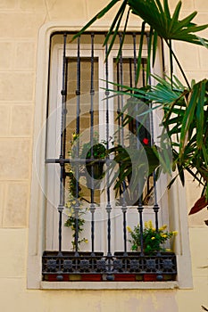 Classical window with metal bars and flowers. View from outside the street, La Latina district, Madrid, Spain