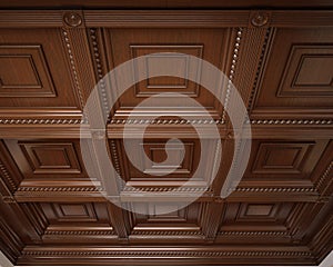 Classical wooden caisson ceiling