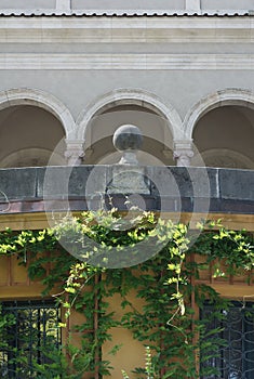 Classicial Architecture with Vines