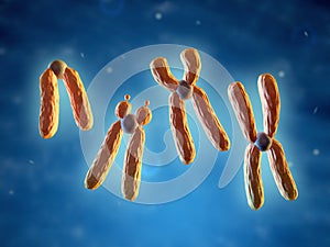 Classification of chromosomes photo